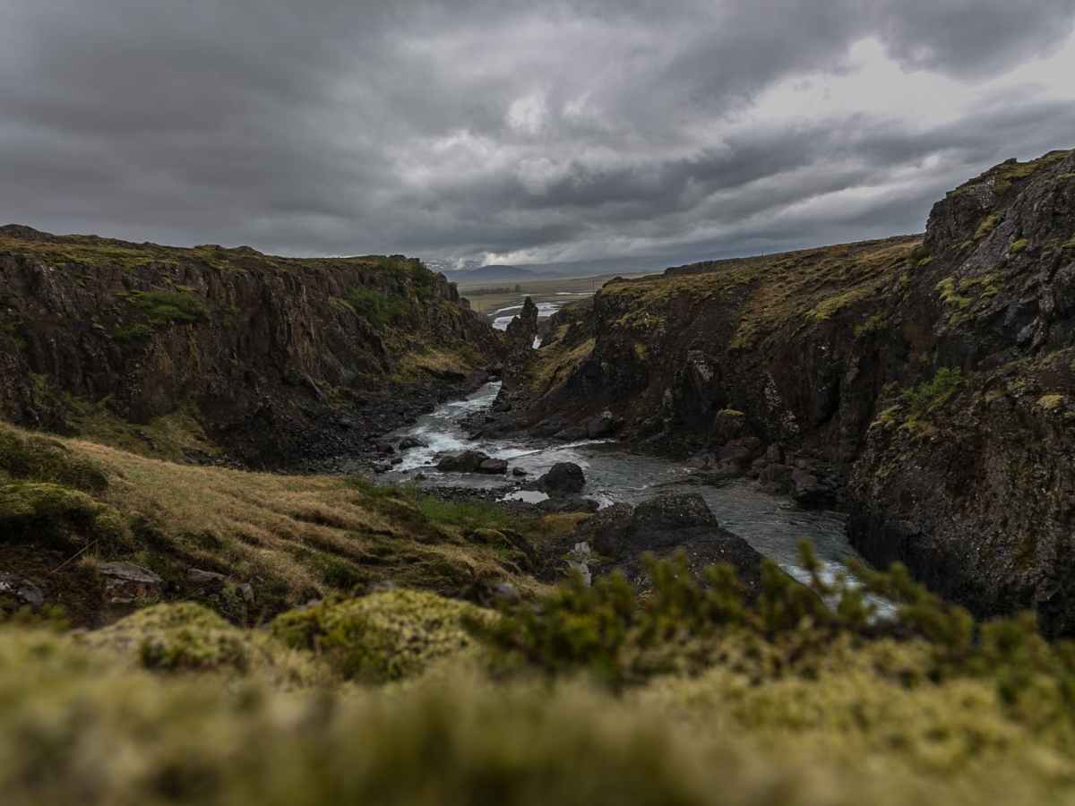 Eliminate These 5 Toxic Thoughts and Find&nbsp;Joy